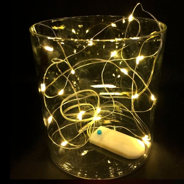 Hilo Luminoso 20 Leds Función Flash con Mando.