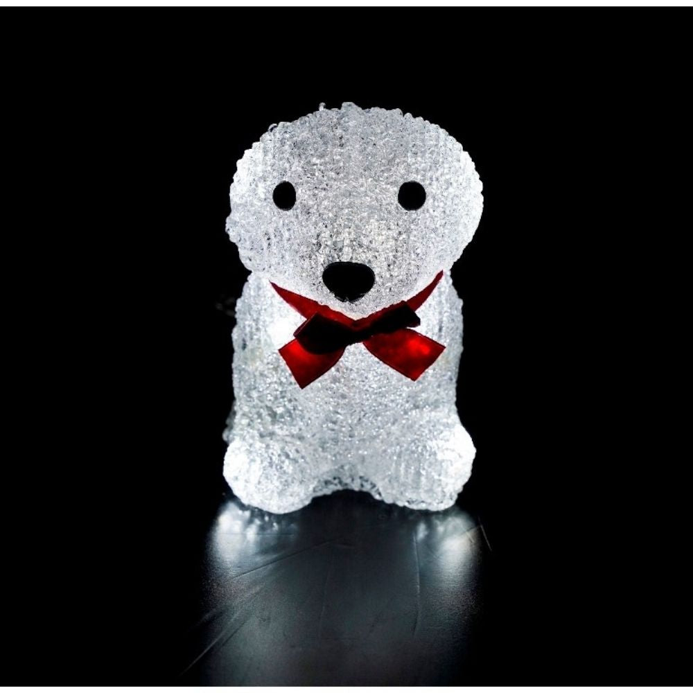 Foquita Luminosa 10 Leds para Interior & Exterior